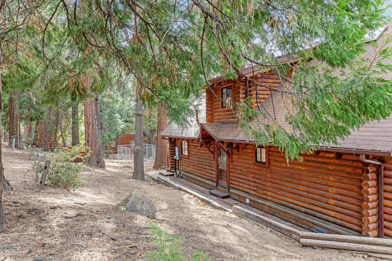 Pine Cone Haven Villa Idyllwild Buitenkant foto